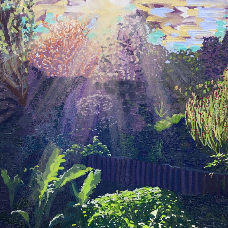 Painting garden with sunshine