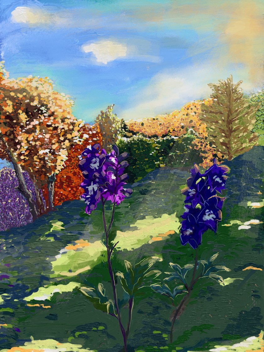 Two flowers in a garden